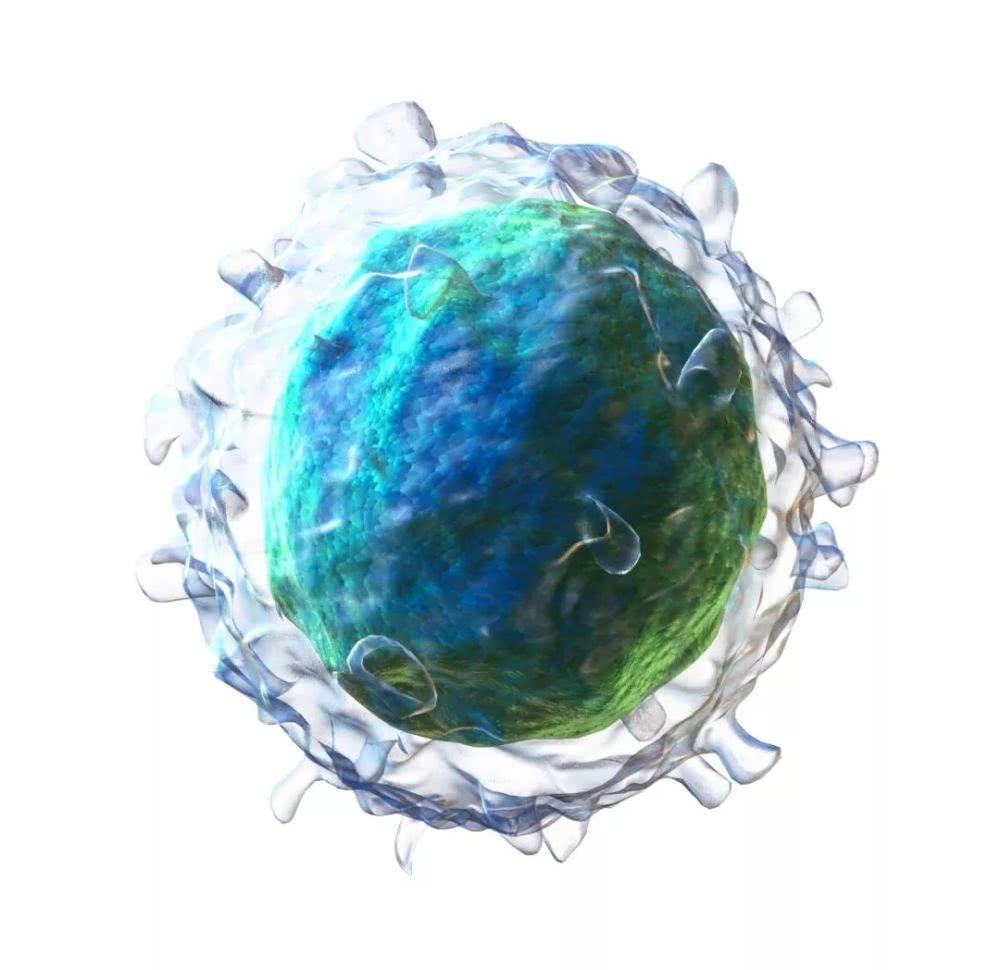 北京博知源生物科技有限公司